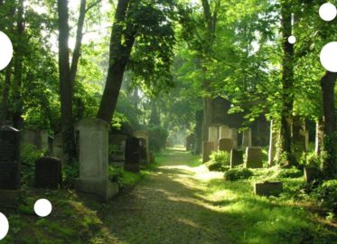Muzeum Sztuki Cmentarnej - Cmentarz żydowski | wystawa stała
