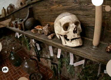 Noc Muzeów 2026 w Muzeum Farmacji