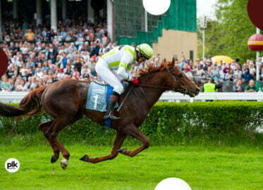 Otwarcie sezonu na Torze Partynice