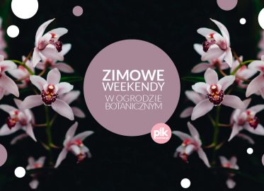 Zimowe weekendy w Ogrodzie Botanicznym