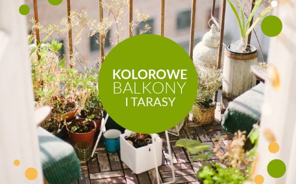 Kolorowe Balkony i Tarasy - ekspozycja i kiermasz roślin balkonowych w Ogrodzie Botanicznym