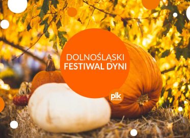 Dolnośląski Festiwal Dyni 2023