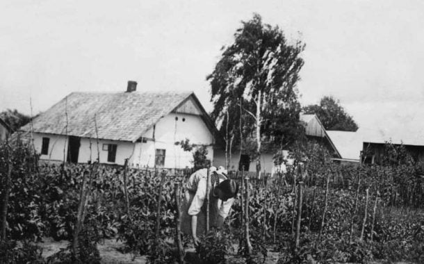 Podlwowska wieś Sokolniki na dawnej fotografii | wystawa