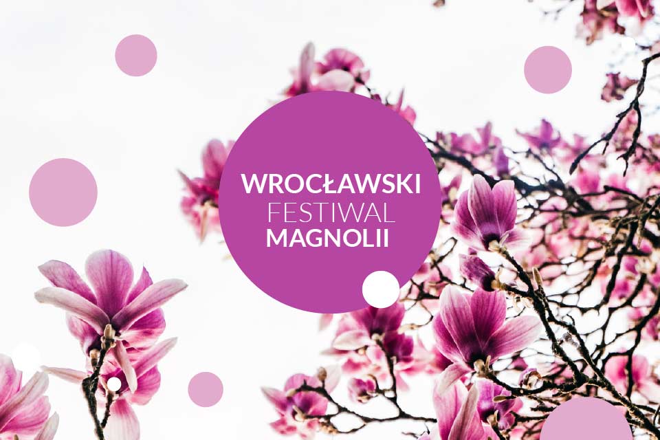Wrocławski Festiwal Magnolii