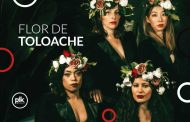 Flor de Toloache | koncert we Wrocławiu - Bilety