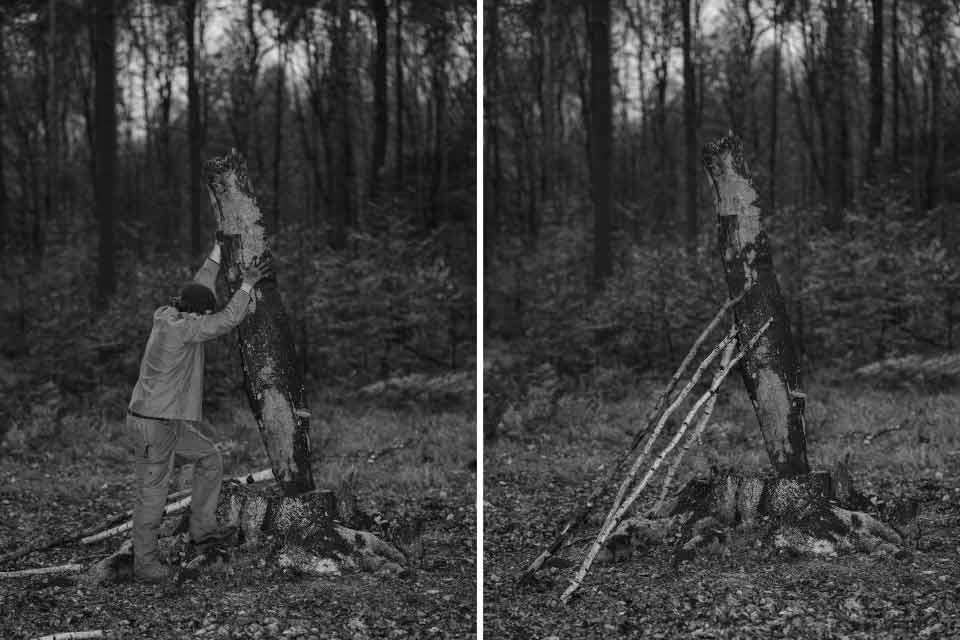 Prace leśne - Michał Łuczak | wystawa