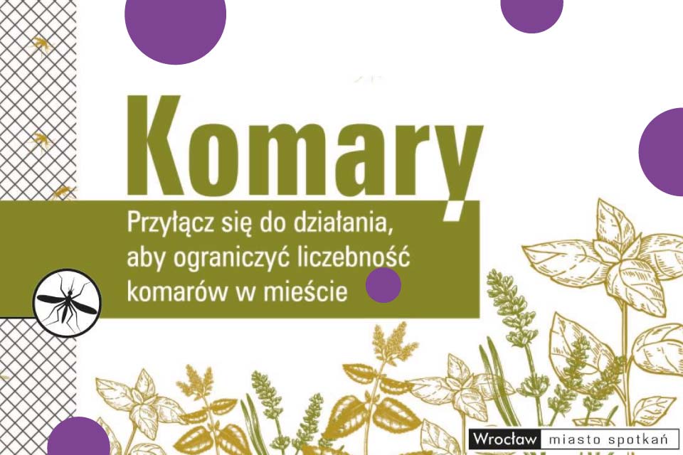 Akcja - Komar nie siada we Wrocławiu