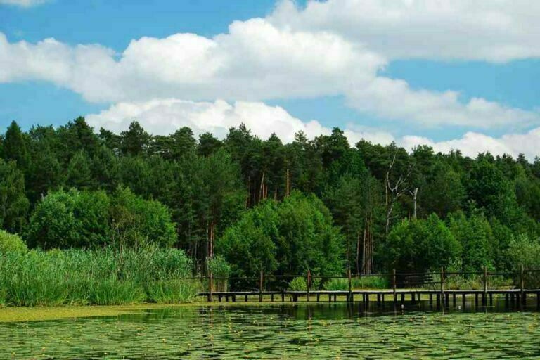 Arboretum Leśne Im Prof Stefana Białoboka Arboretum Leśne im. prof. Stefana Białoboka – Cykl weekend na Dolnym