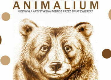 Animalium | koncert