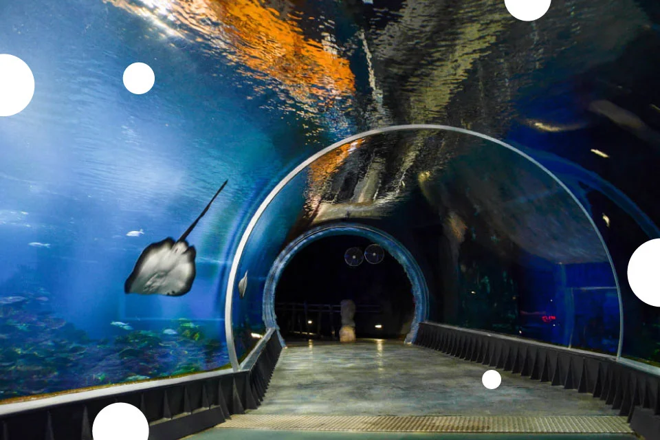 Zoo-WROCLAW_Atrakcje-