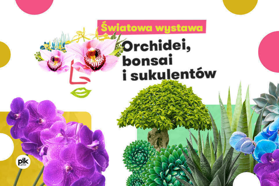 Światowa Wystawa Orchidei, Bonsai i Sukulentów we Wrocławiu