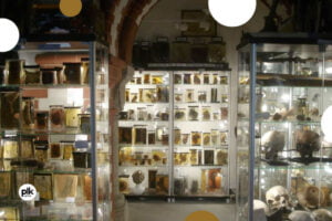 Noc Muzeów 2026 w Muzeum Medycyny Sądowej