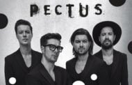 Pectus | koncert
