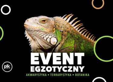 ZooEgzotyka - Giełda terrarystyczno-akwarystyczna Wrocław