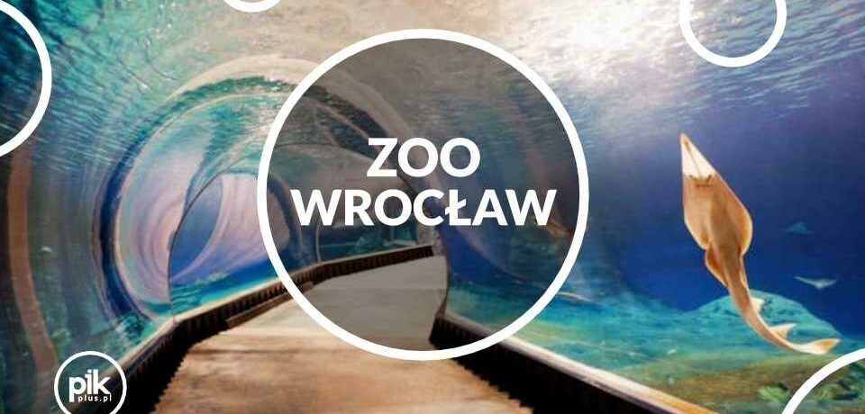Bilety do Zoo we Wrocławiu