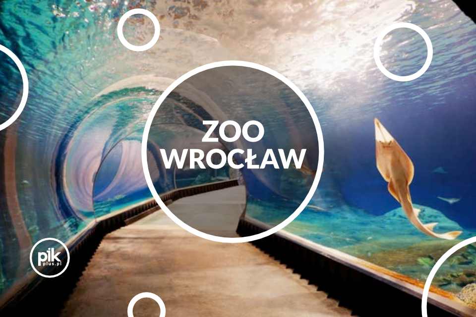 Bilety do Zoo we Wrocławiu