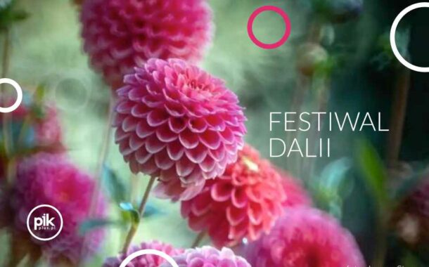 Festiwal Dalii