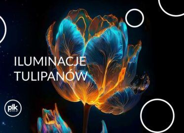 Iluminacje Tulipanów w Ogrodzie Botanicznym