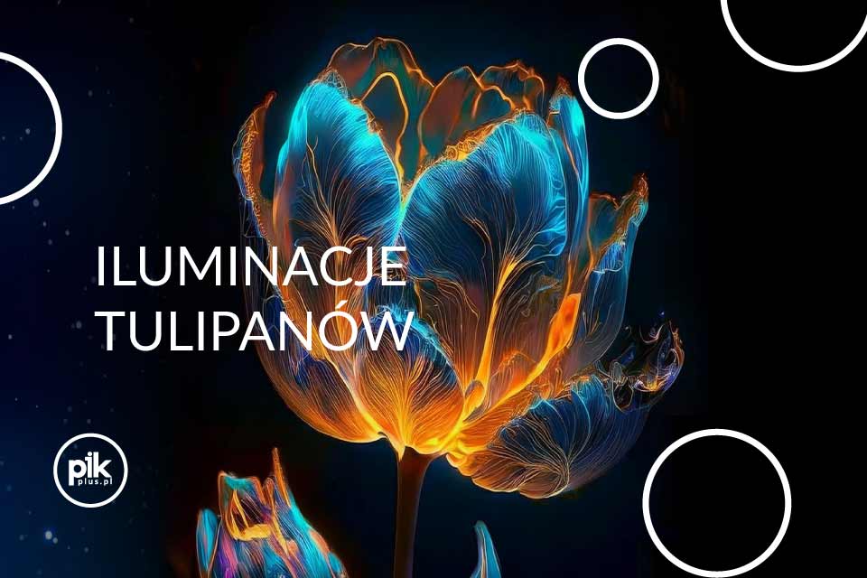 Iluminacje Tulipanów w Ogrodzie Botanicznym