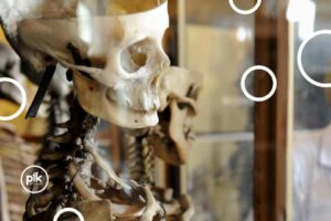 Noc Muzeów 2026 w Muzeum Anatomii we Wrocławiu