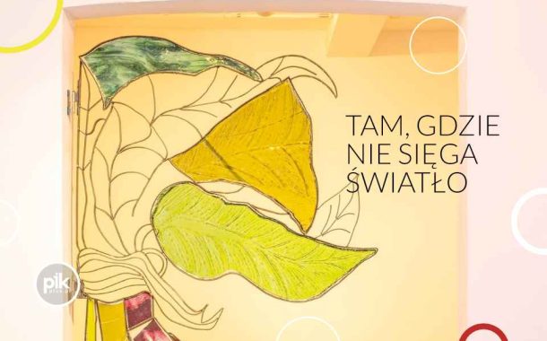 Noc Muzeów 2026 w Galerii SIC! BWA Wrocław