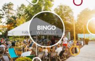 Bingo w Forest Bar