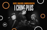 Hołdys / Waglewski / Karimski Orchestra | koncert