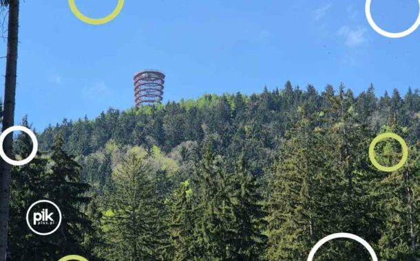Dzikowiec – Cykl weekend na Dolnym Śląsku i nie tylko