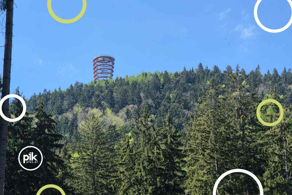 Dzikowiec – Cykl weekend na Dolnym Śląsku i nie tylko