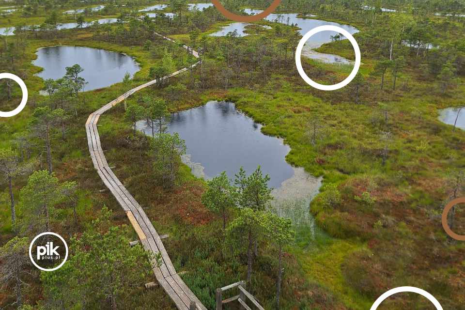 Na bagnach Kemeri – Cykl na weekend - Ryga