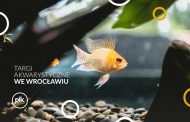 Targi Akwarystyczne we Wrocławiu