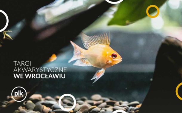 Targi Akwarystyczne we Wrocławiu