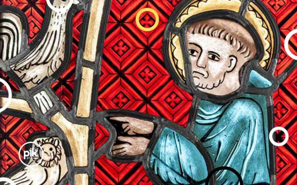 Kazanie do ptaków | wystawa czasowa