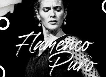 Mantovani-Soto-Sierra - Flamenco Puro we Wrocławiu